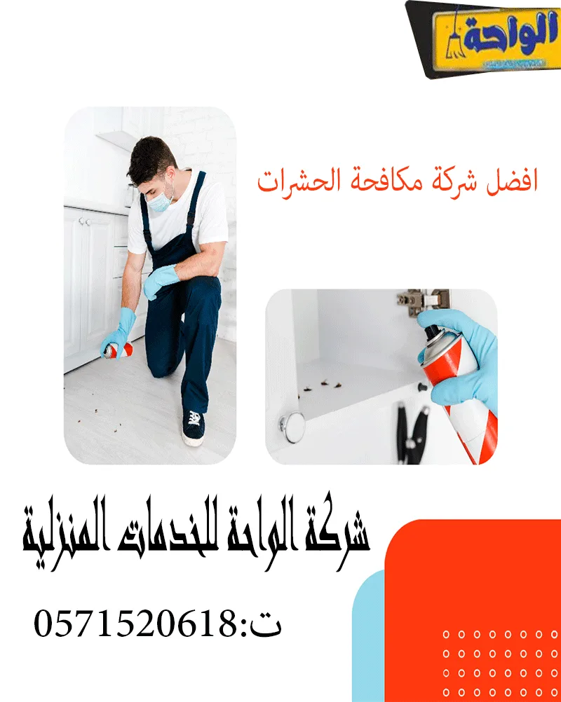 شركة مكافحة النمل الابيض حي الربيع 
