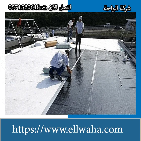 متجر عزل أسقف حي النرجس