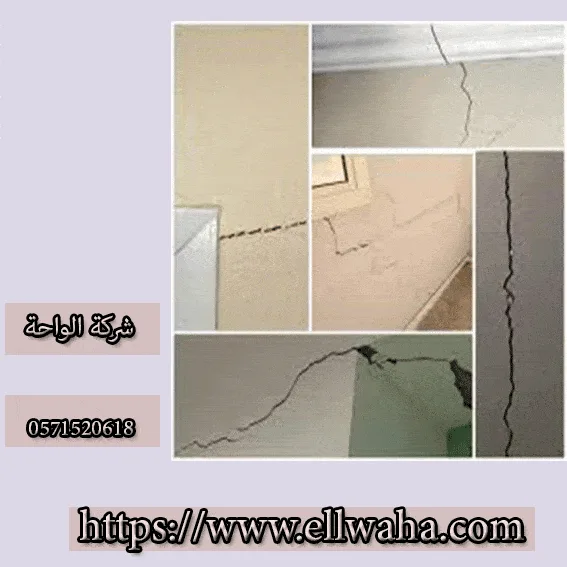 شركة معالجة التعشيش بالدمام