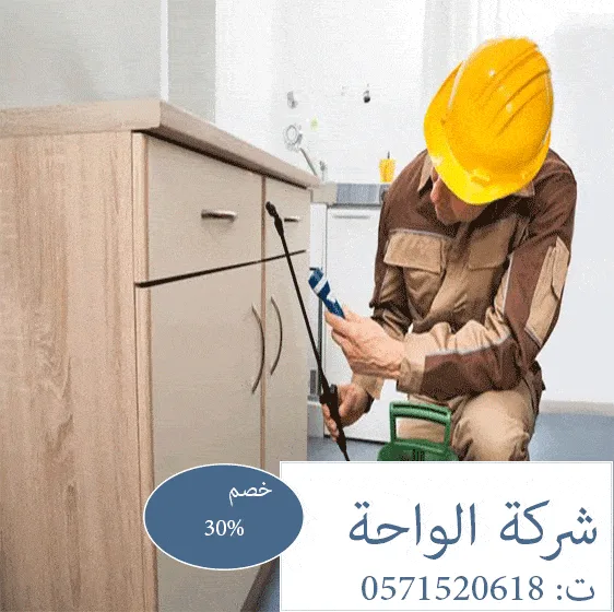 شركة مكافحة النمل الابيض حي الربيع 