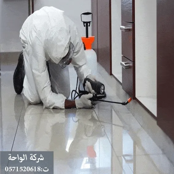 شركة مكافحة النمل الابيض حي الربيع 