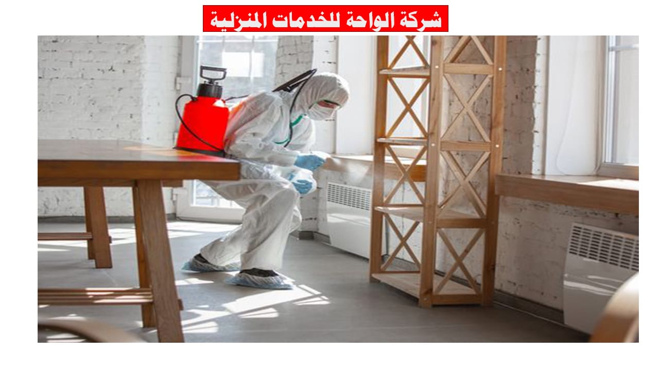 شركة مكافحة حشرات شرق الرياض