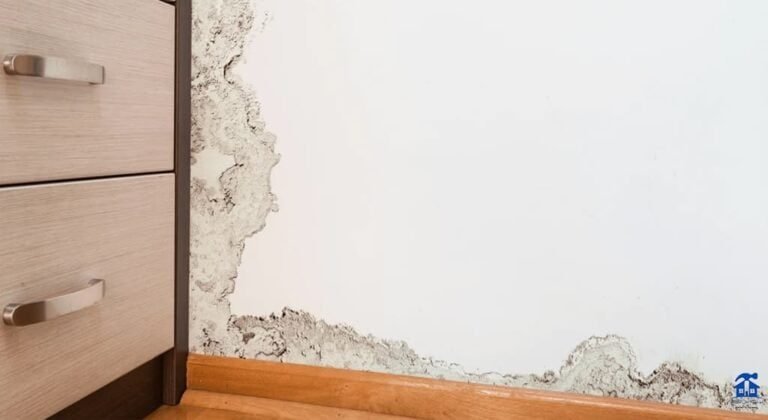 معالجة الرطوبة في سقف المنزل