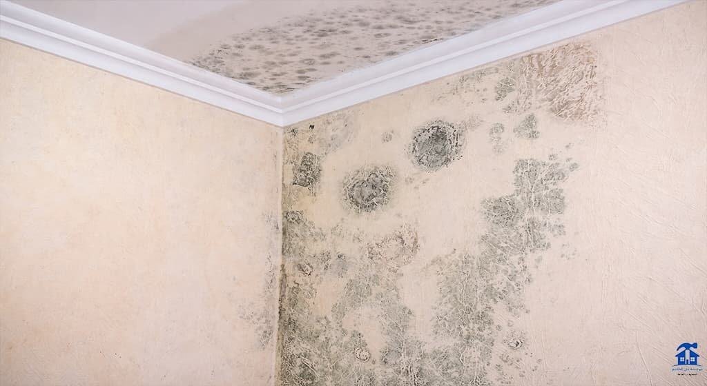 علاج الرطوبة في الدور الارضي